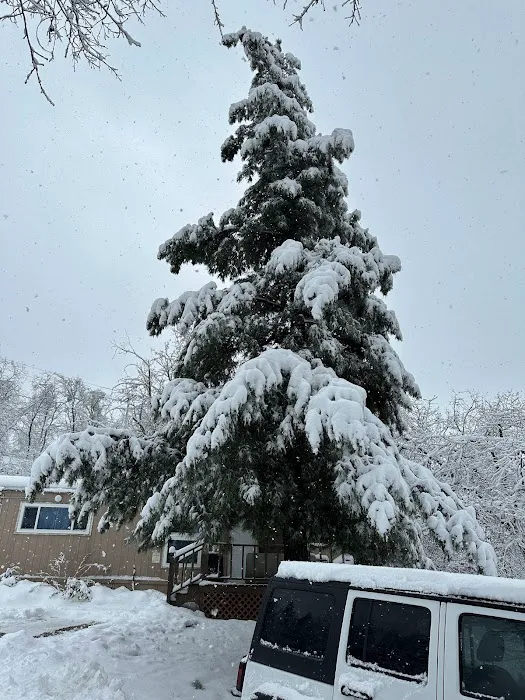 Oak Glen Retreat - Halo Resorts Picture 5