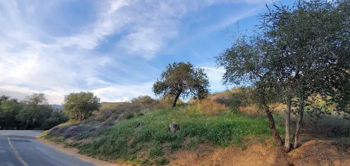 Bogart County Park Picture 7