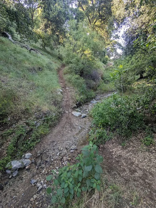 Bogart County Park Picture 1