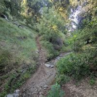 Bogart County Park ico