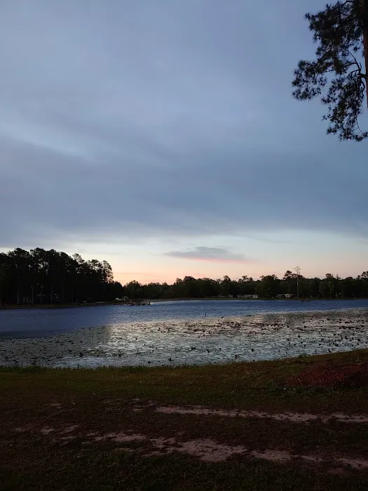 Williamson Mobile Estate & RV Park Picture 5