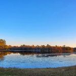 Williamson Mobile Estate & RV Park