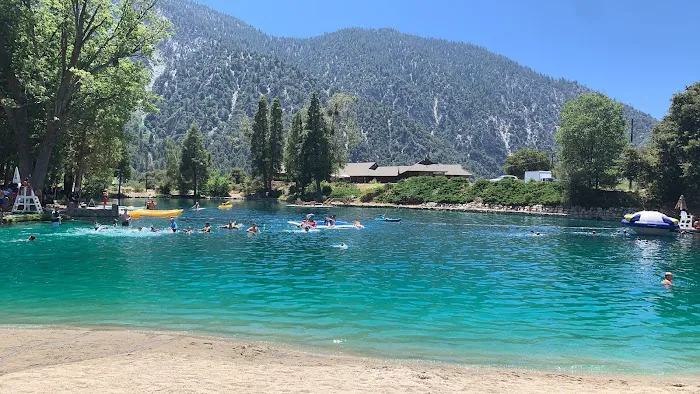 Forest Home Picture 10