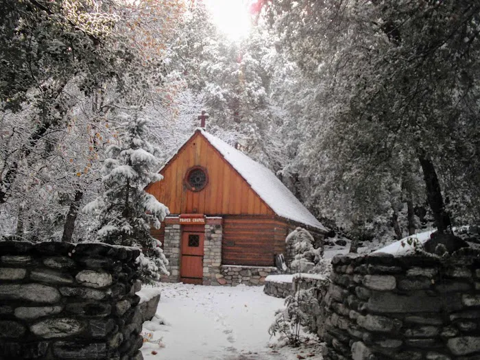 Forest Home Picture 3