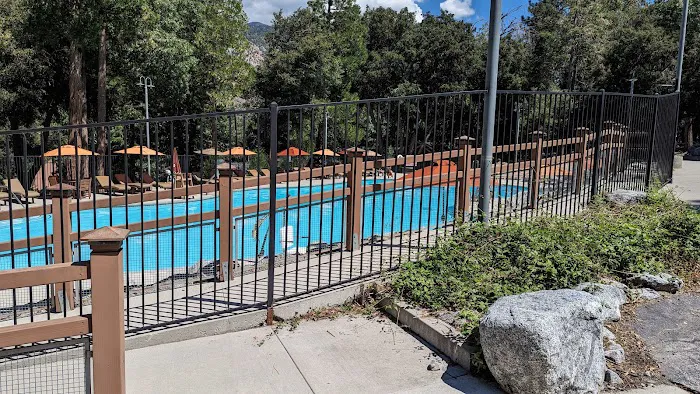 Forest Home Picture 7