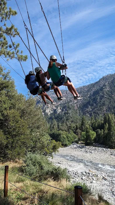 Forest Home Picture 6