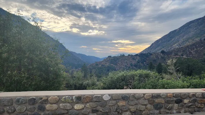 Forest Home Picture 5