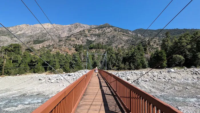 Forest Home Picture 4