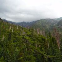 Alger Creek ico