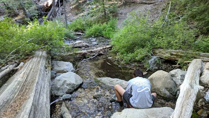 Alger Creek Picture 10