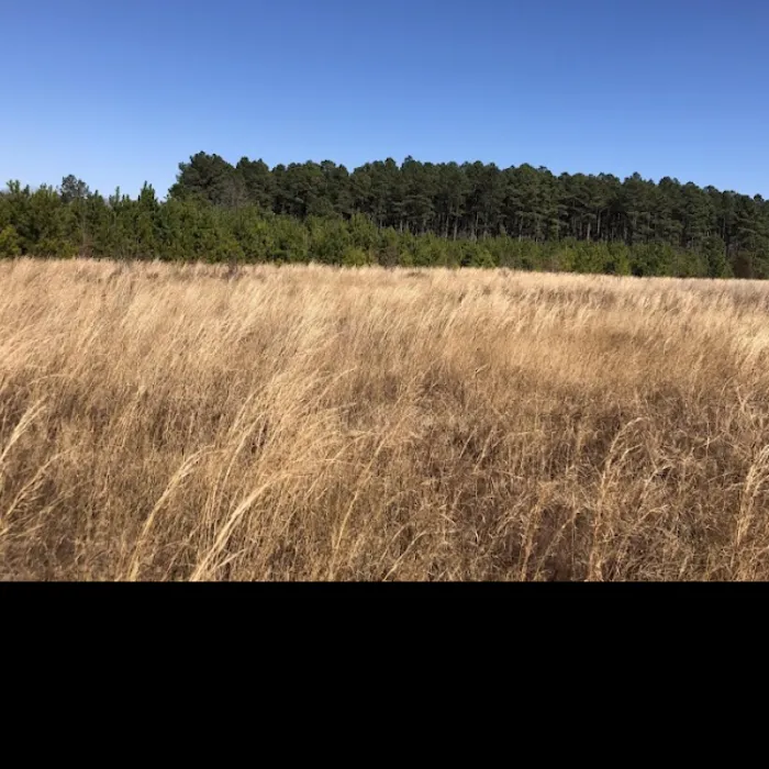 Jefferson SC Mobile home Estates Picture 5
