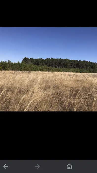 Jefferson SC Mobile home Estates Picture 4