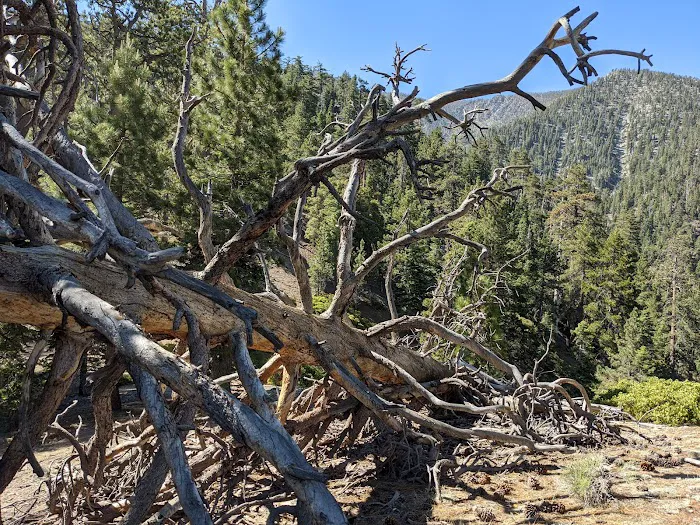 John's Meadow Camp Picture 7