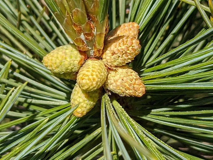 John's Meadow Camp Picture 4