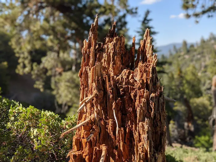 John's Meadow Camp Picture 3