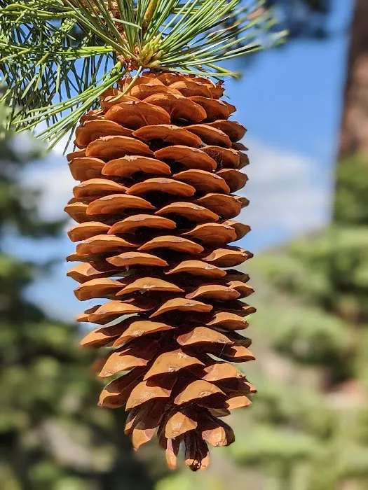 John's Meadow Camp Picture 8