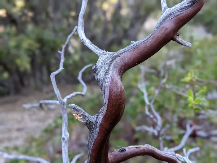 John's Meadow Camp Picture 2