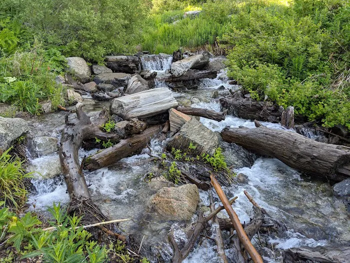 John's Meadow Camp Picture 5