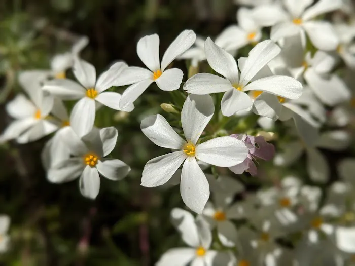 John's Meadow Camp Picture 1