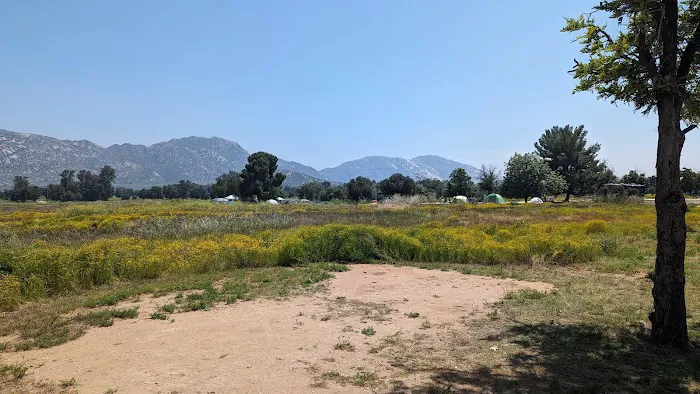Bobcat Campground Picture 9