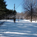 Shady Oaks Mobile Home Park