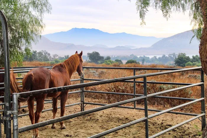 Lake Perris Horse Camp Picture 4