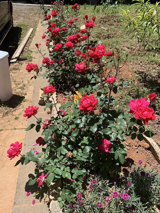 Wilgrove Mobile Home Park Picture 2