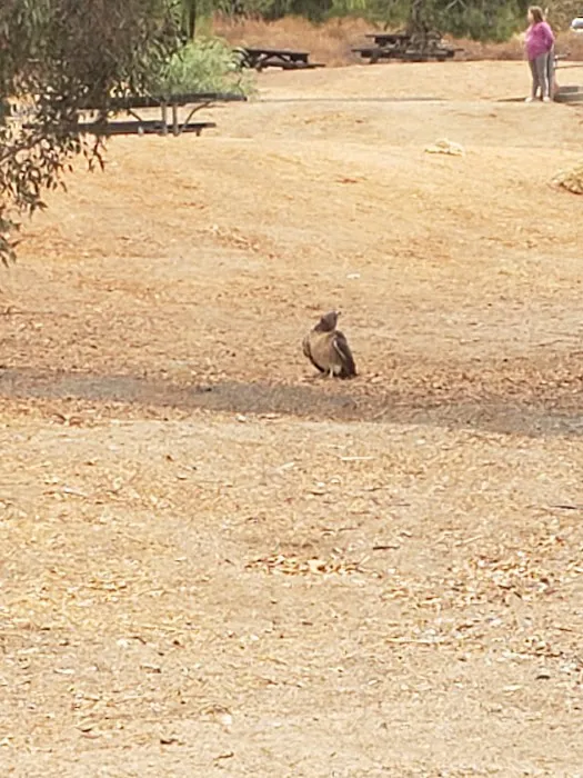 Quail Campground Picture 10