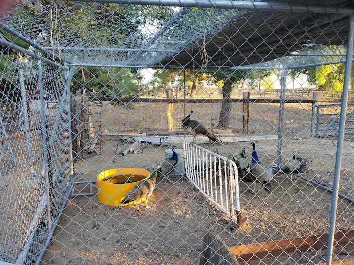 Victory Ranch Picture 6