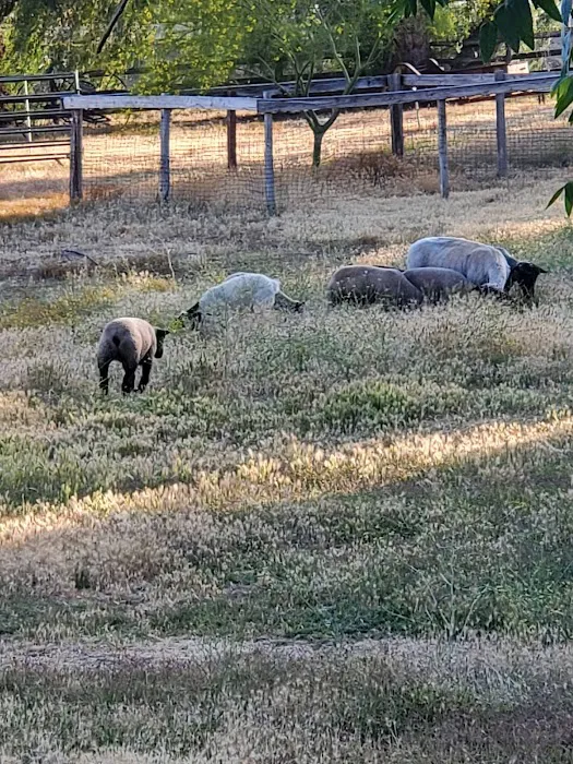 Victory Ranch Picture 4