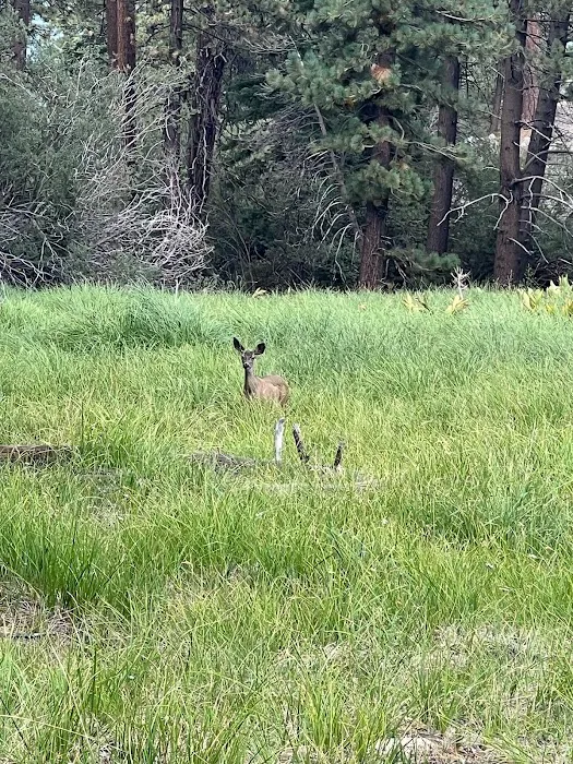 Boulder Group Campground Picture 1