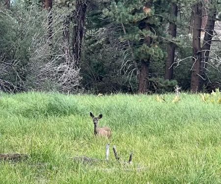 Boulder Group Campground