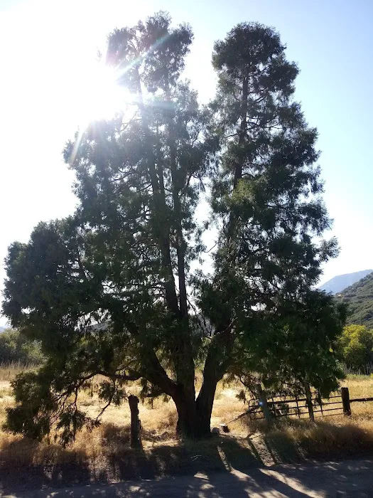 Clark's Ranch Yellow Post Site Picture 3