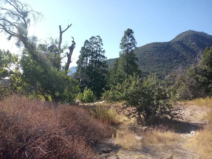 Clark's Ranch Yellow Post Site Picture 2