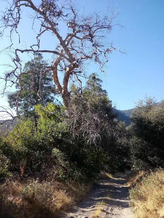Clark's Ranch Yellow Post Site Picture 8