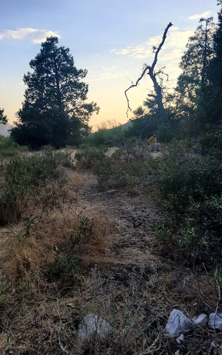 Clark's Ranch Yellow Post Site Picture 5