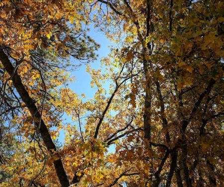 イエロー・ポスト #25