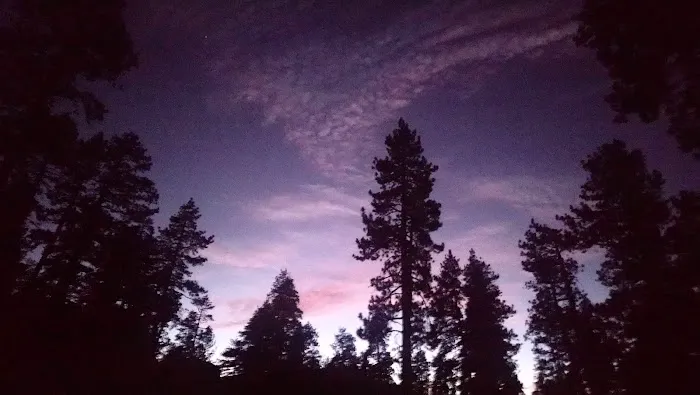 Big Bear Camp Picture 4