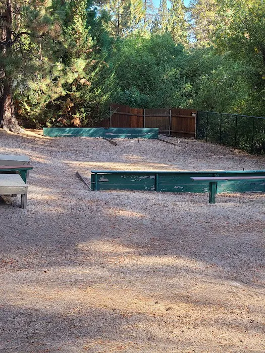 Big Bear Camp Picture 2