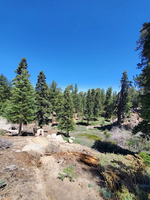 Deer Group Campground Picture 1