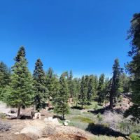 Deer Group Campground ico
