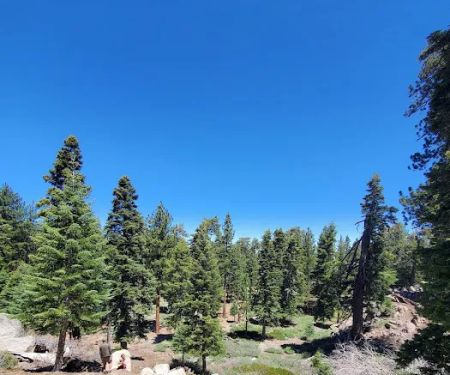 Deer Group Campground