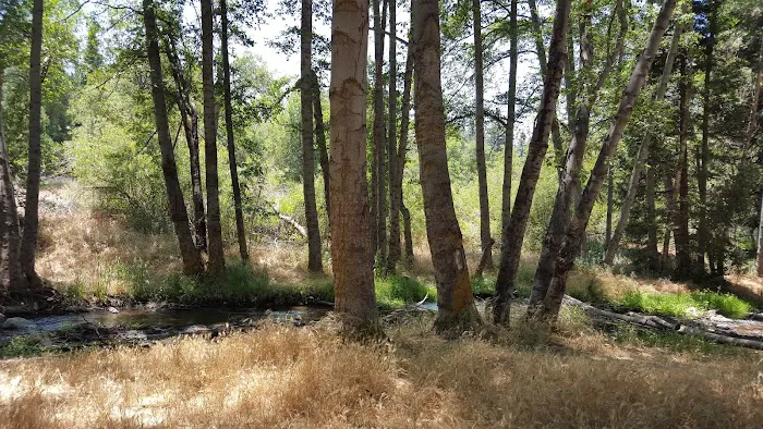 Seven Oaks Lodge Picture 6