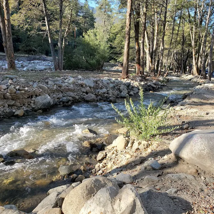 Seven Oaks Lodge Picture 9