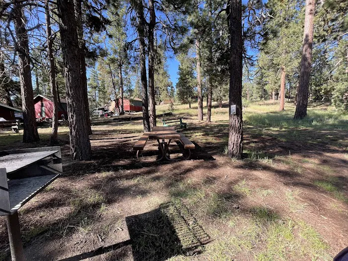 Camp Tanda Picture 5