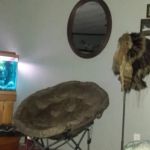 Twin Creeks Mobile Home Park