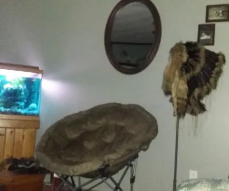 Twin Creeks Mobile Home Park