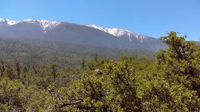 Camp Sky Meadows Picture 2