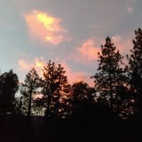 Camp Sky Meadows ico