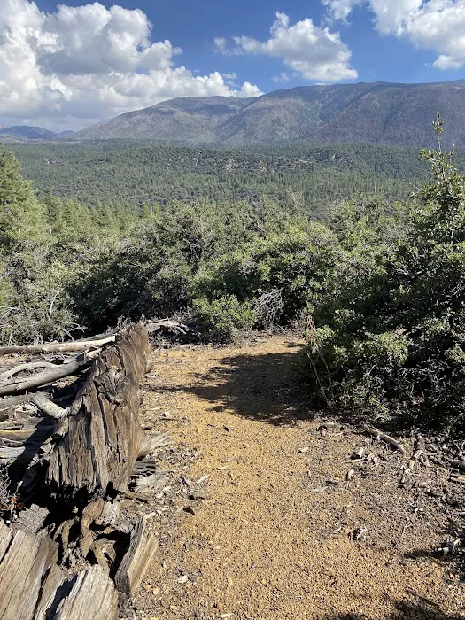 Camp Sky Meadows Picture 6